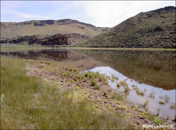 823 shelr bpk 14062005 alkali reservoir.jpg